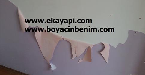 Silikonlu Boya Neden Soyulur